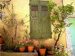 Weathered Beauty